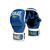 Рукавиці для ММА Everlast Muay Thai Striking Pro Gloves Синій (MTSPE) розмір M EMTSPGBL фото