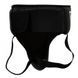 Захист паху Title Deluxe Groin Protector Plus 2.0 Чорний (DGPP2) розмір L TDGPP2 фото 3